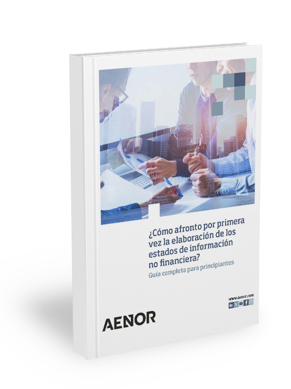 Estructura de un puente,empresas constructoras