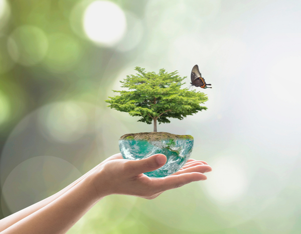 TALLER DE DETERMINACION DE ASPECTOS E IMPACTOS AMBIENTALES